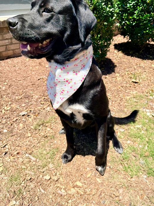 Cottage Blossoms Bandana