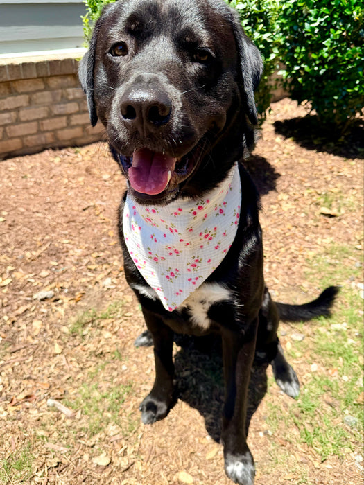 Cottage Blossoms Bandana