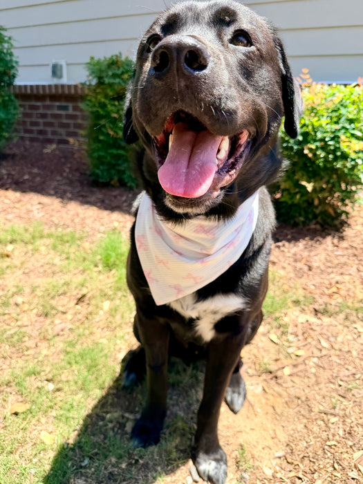 Pretty in Bows Knit Bandana