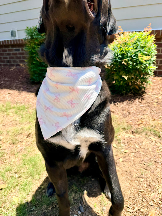 Pretty in Bows Knit Bandana