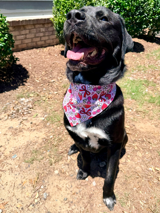 Cherry Berry Bandana