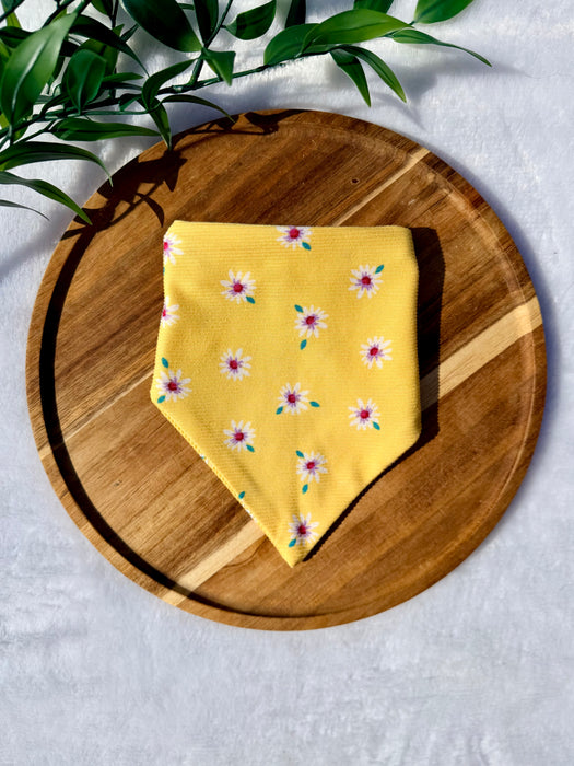 You Are My Sunshine Knit Bandana