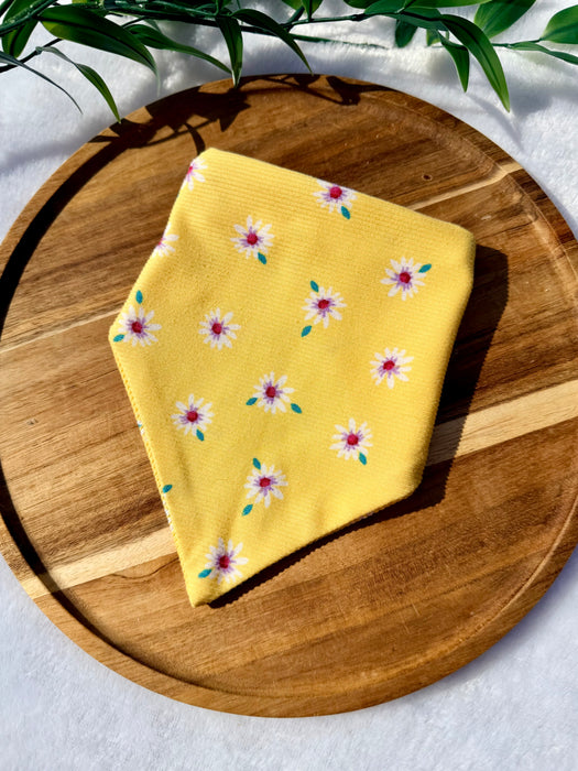 You Are My Sunshine Knit Bandana