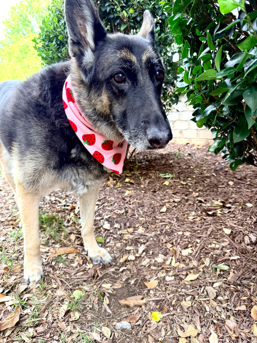 Strawberry Fields Knit Bandana