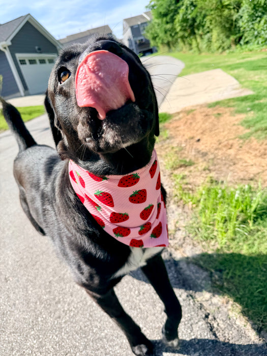 Strawberry Fields Knit Bandana