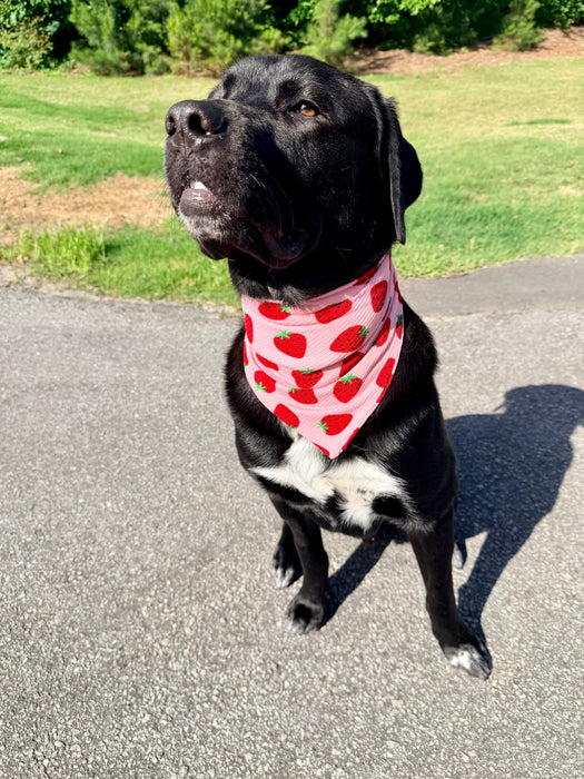 Strawberry Fields Knit Bandana