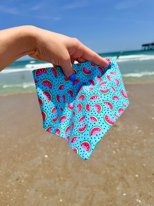 Watermelon Sugar Bandana