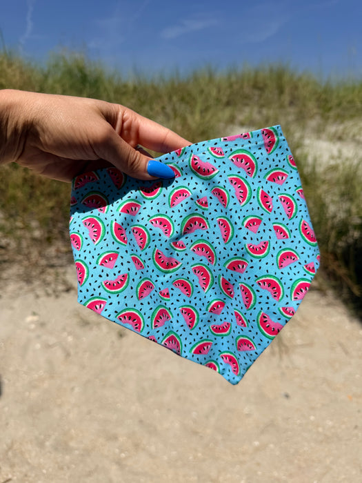 Watermelon Sugar Bandana