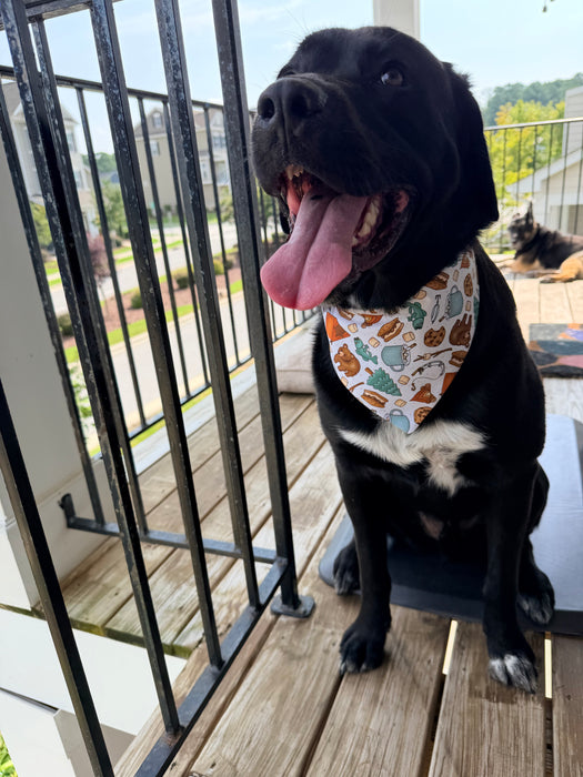 Happy Camper Adventure Bandana