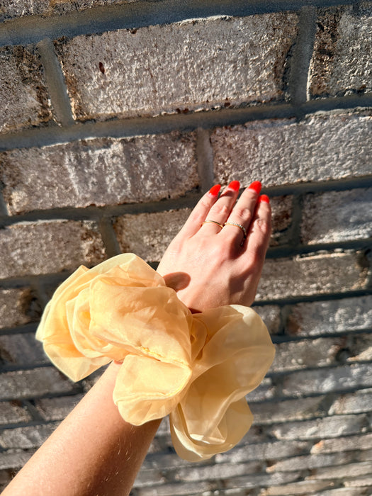 Jumbo Organza Scrunchie