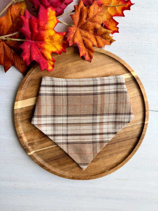 Cider & Spice Plaid Bandana