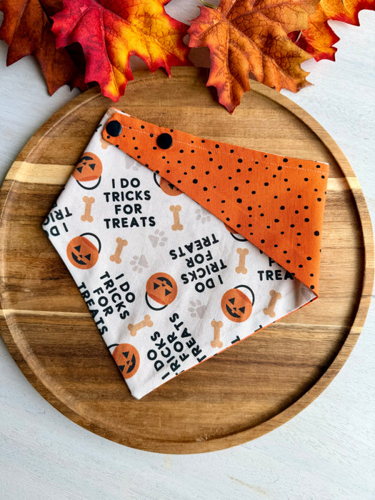 Tricks for Treats Reversible Bandana