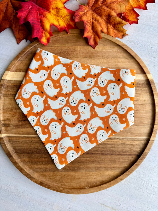 Peek-a-Boo Bandana