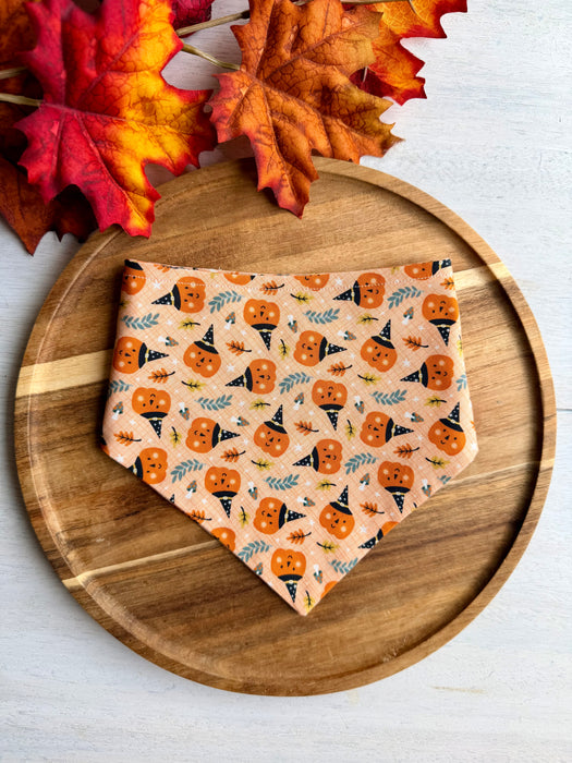 Mushroom Pumpkin Patch Bandana
