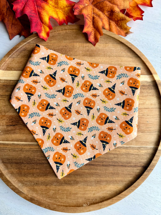 Mushroom Pumpkin Patch Bandana