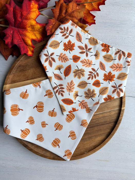 Pumpkin Patch Adventure Bandana