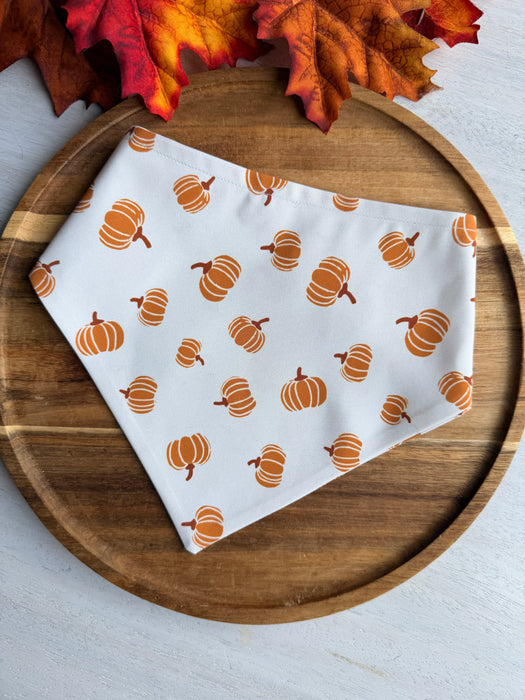 Pumpkin Patch Adventure Bandana