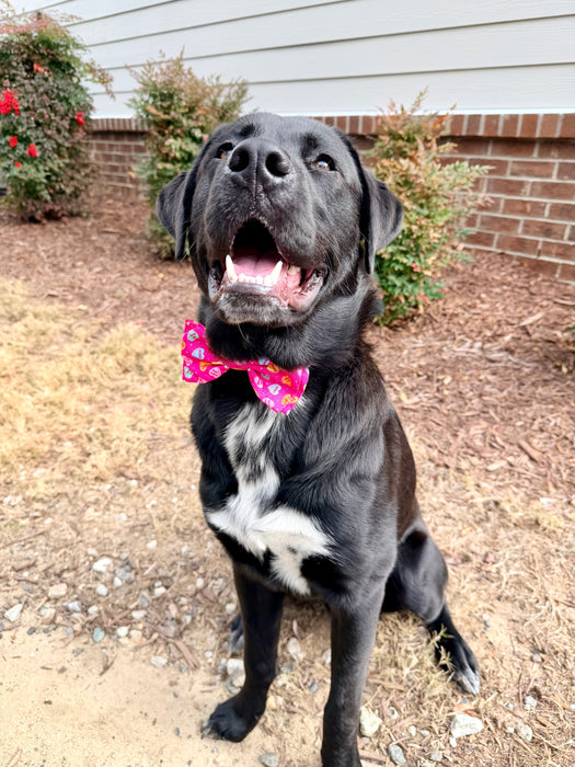 Candy Hearts Bow Tie