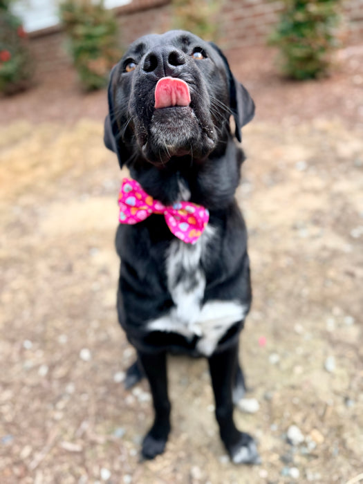 Candy Hearts Bow Tie
