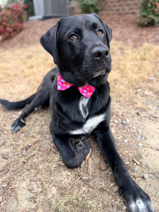 Candy Hearts Bow Tie