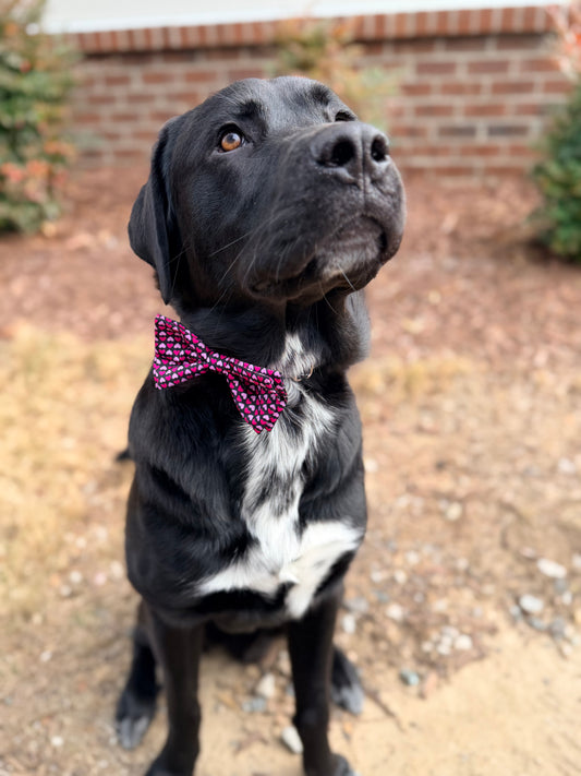 Pretty in Hearts Bow Tie