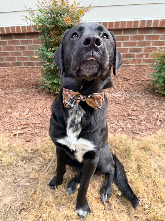Tartan Plaid Bow Tie