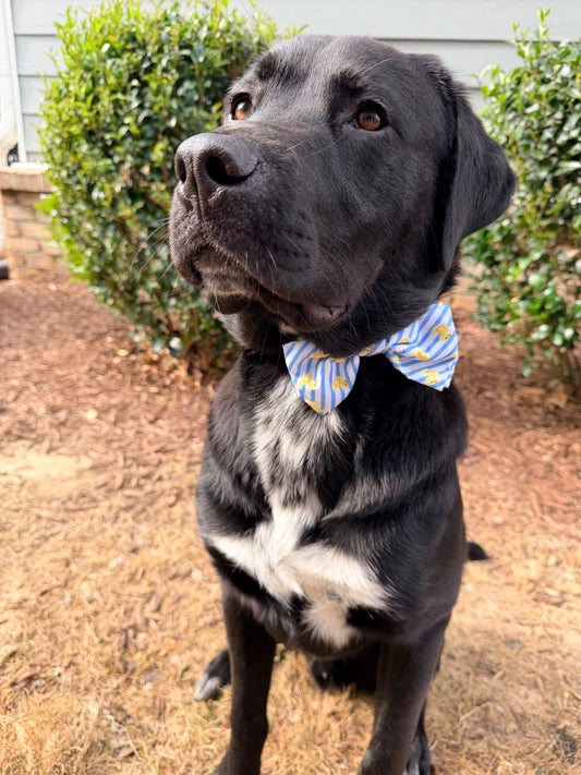 Rubber Ducky Bow Tie