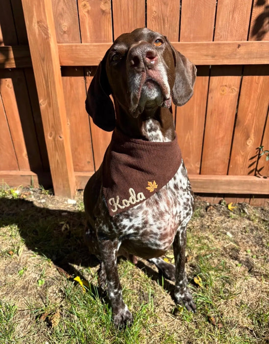 Personalized Embroidered Fall Bandana