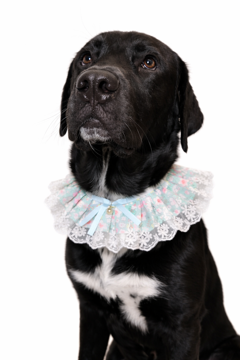 Spring Lace Bandana