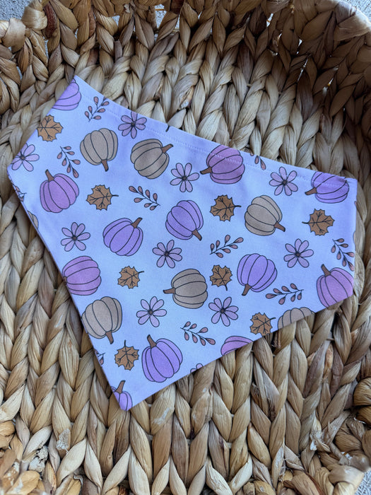 Pink Pumpkins Bandana