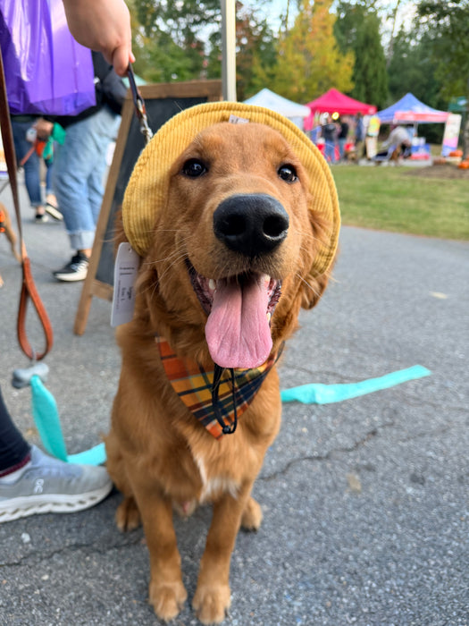 Fall Plaid Bandana - Soft Adventure Fabric