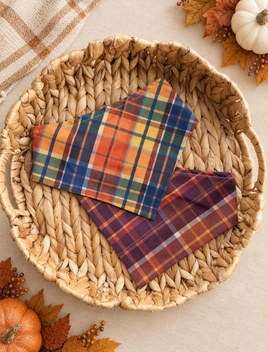 Fall Plaid Bandana - Soft Adventure Fabric