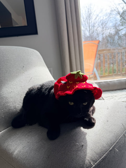 Crochet Hat