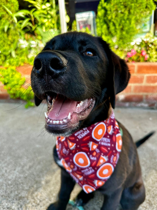 Pumpkin Lover