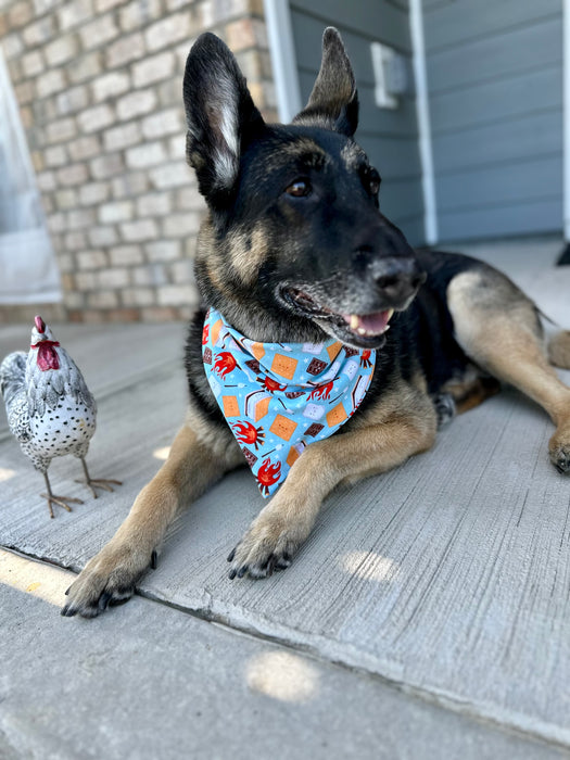 S’more Snuggles Bandana