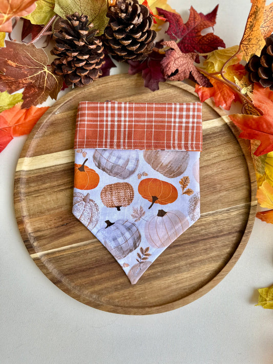 Reversible Pumpkin Patch