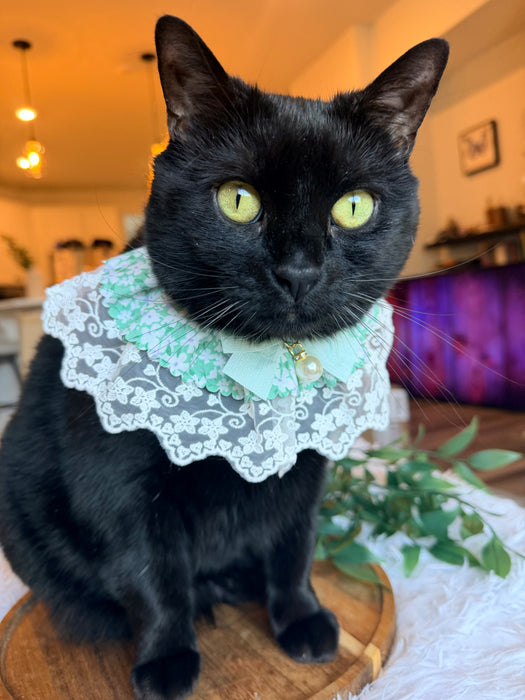 Floral Lace Bow Bandana