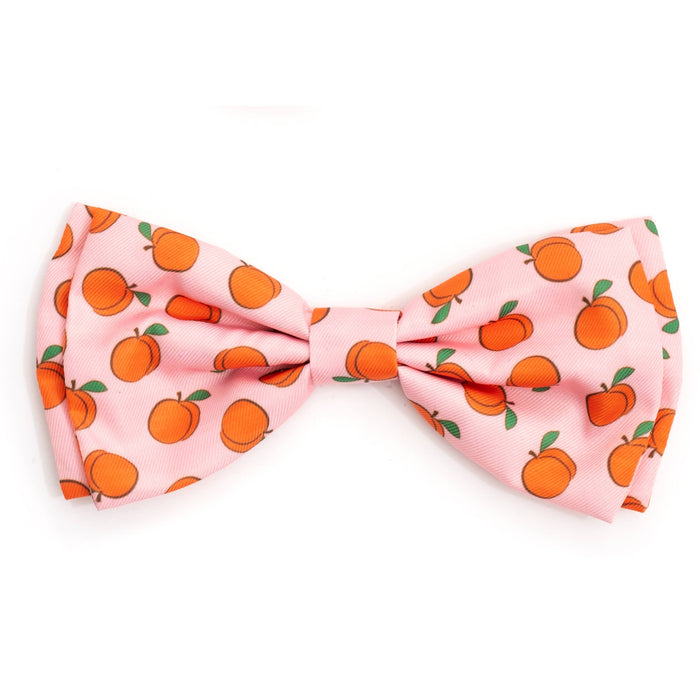 Peachy Keen Bow Tie: Peach / Large