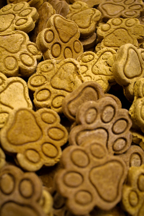 Pumpkin Paws - Dog Treats: 6 OZ