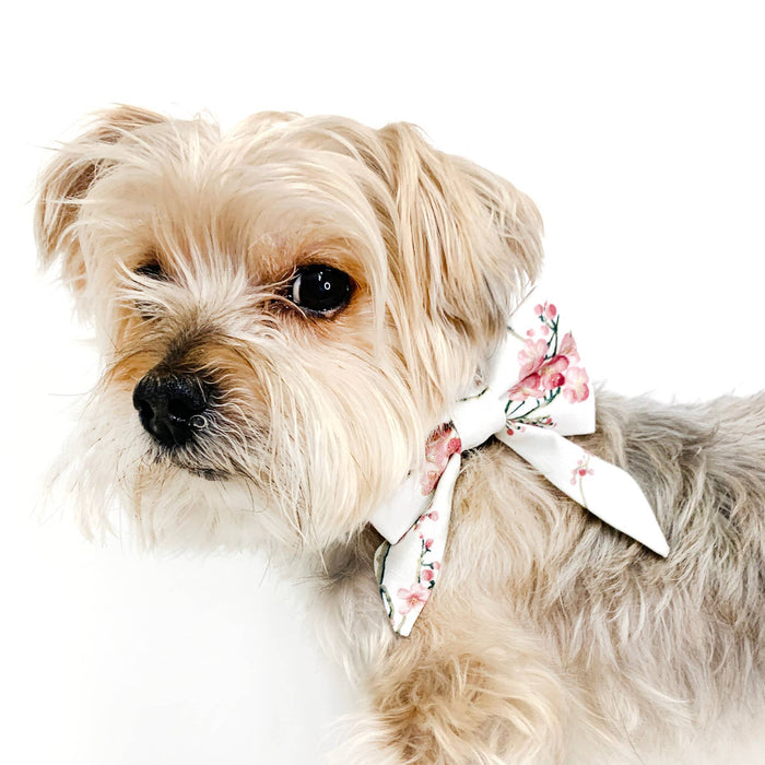 Clementine Orange Sailor Dog Bow: Large