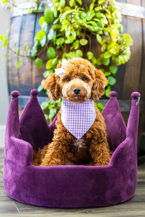 Mama's Girl Bandana